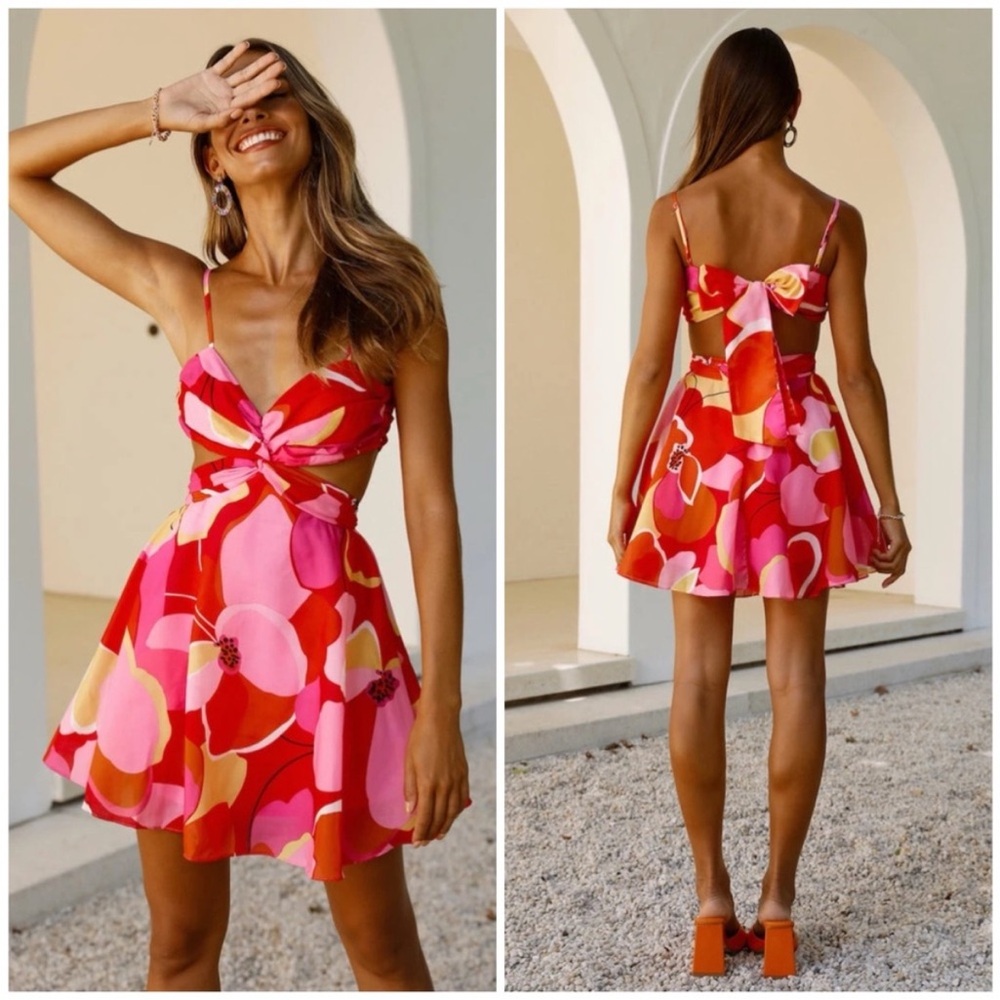 Hello Molly Pink and Red Floral Mini Dress
